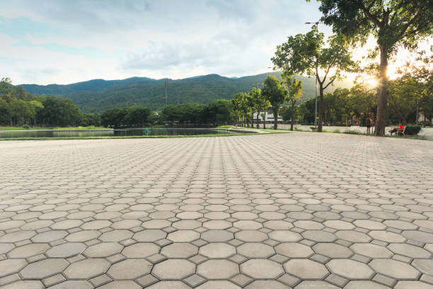 Best Driveway Paving Contractor  in Safford, AZ