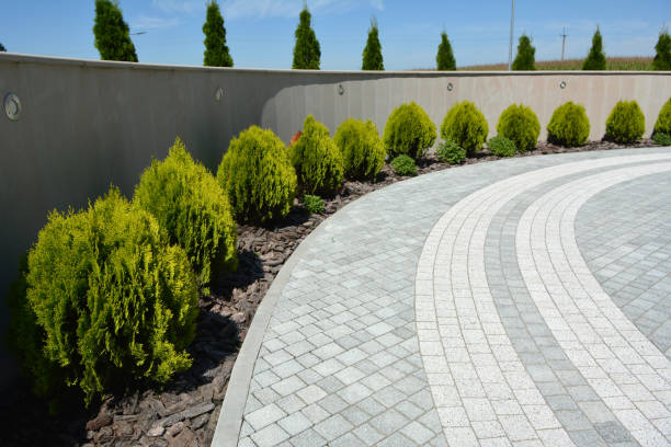 Paver Driveway Replacement in Safford, AZ